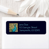 孔雀の美しい自然写真 ラベル (インサイチュ)