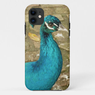 孔雀の美しい自然写真 iPhone 11 ケース