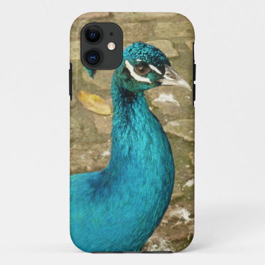 孔雀の美しい自然写真 Case-Mate iPhoneケース (裏面)