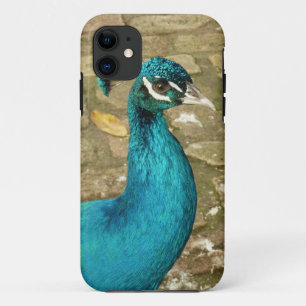 孔雀の美しい自然写真 iPhone 11 ケース