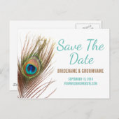 孔雀の羽が日付を保存 案内ポストカード (正面/裏面)