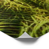 孔雀の羽にフローラを持つメス顔 ポスター (角)