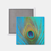 孔雀の羽のクローズアップ マグネット (正面/裏面)