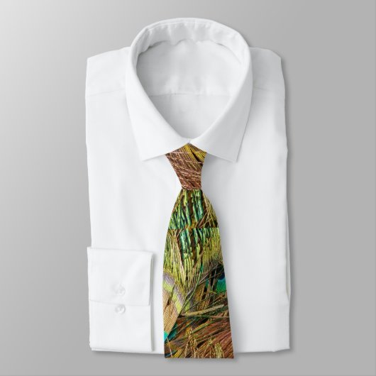 孔雀の羽のタイ ネクタイ (タイ)