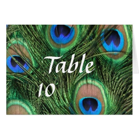 孔雀の羽のテーブル数 (正面横)