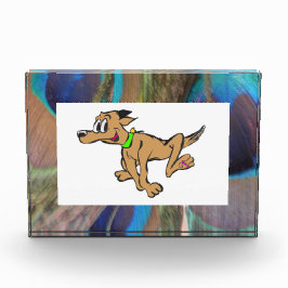 孔雀の羽のフォトブロック フォトブロック