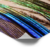 孔雀の羽のポスター ポスター (角)