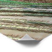 孔雀の羽のポスター ポスター (角)