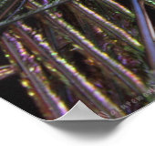 孔雀の羽のポスター–36x24 – 小さい利用可能 ポスター (角)