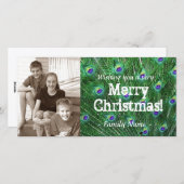 孔雀の羽の写真のクリスマスカード シーズンカード (正面/裏面)