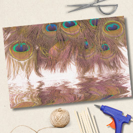 孔雀の羽の反射 薄葉紙