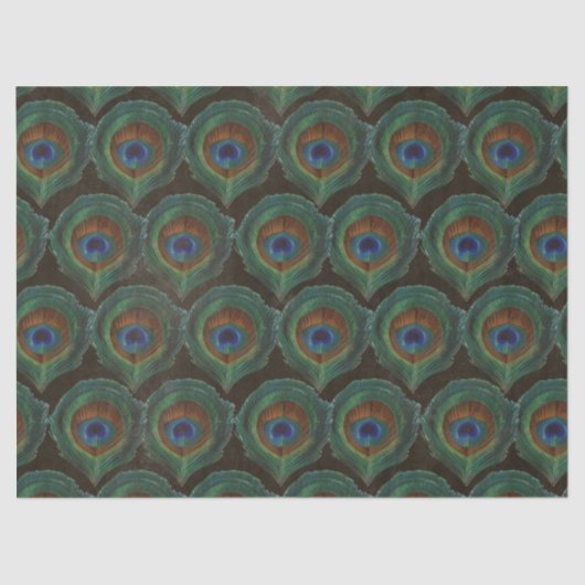 孔雀の羽の大きな緑色の目の分離 薄葉紙 (正面)