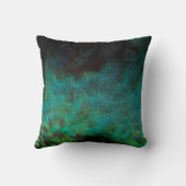 孔雀の羽の枕 クッション (裏面)