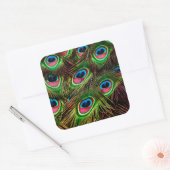 孔雀の羽の羽毛のパターン スクエアシール (封筒)