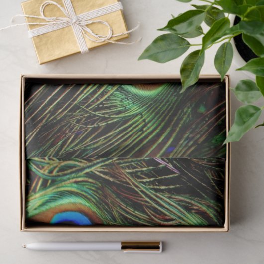 孔雀の羽の背景の切り離しティッシュペーパー 薄葉紙 (ギフト)