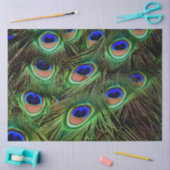 孔雀の羽の背景の切り離しティッシュペーパー 薄葉紙 (クラフト)