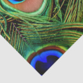 孔雀の羽の背景の切り離しティッシュペーパー 薄葉紙 (詳細)