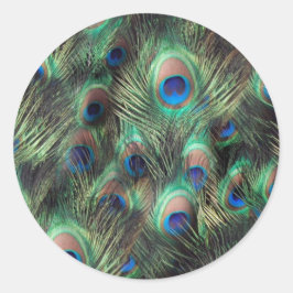 孔雀の羽の背景 ラウンドシール