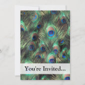 孔雀の羽の背景 招待状 (正面)