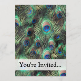 孔雀の羽の背景 招待状
