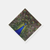 孔雀の羽の表示の写真 スタンダードカクテルナプキン (角)