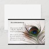 孔雀の羽の魅力の調節カード エンクロージャーカード (正面/裏面)