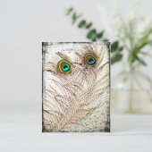 孔雀の羽はがき ポストカード (スタンド正面)