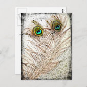 孔雀の羽はがき ポストカード (正面/裏面)