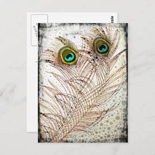 孔雀の羽はがき ポストカード (正面/裏面)