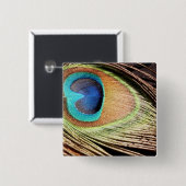孔雀の羽は正方形Pinを設計します 缶バッジ (正面&裏面)