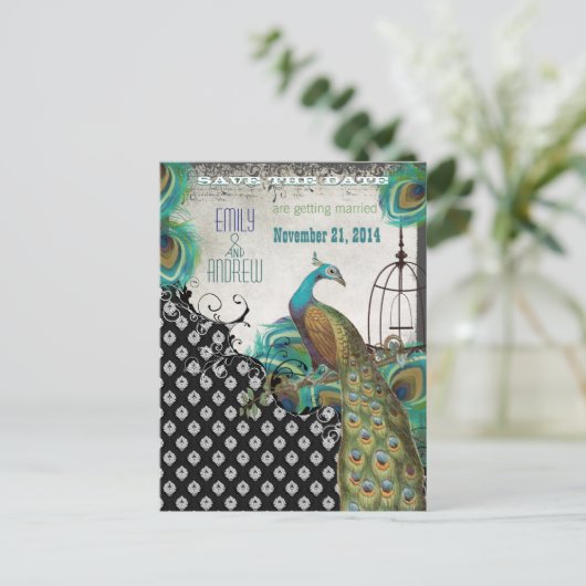 孔雀の羽バードケージ日付を保存 案内ポストカード (スタンド正面)