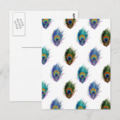 孔雀の羽パターン ポストカード (正面/裏面)