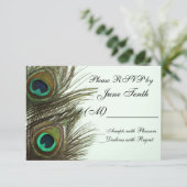 孔雀の羽根の出欠カード 出欠カード (スタンド正面)