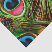 孔雀の羽根ティッシュペーパー 薄葉紙 (詳細)