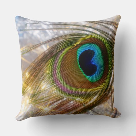 孔雀の羽根枕 クッション (裏面)