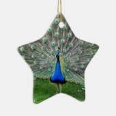 孔雀の羽毛のオーナメント セラミックオーナメント (右)