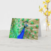 孔雀の羽毛 カード (黄色い花)