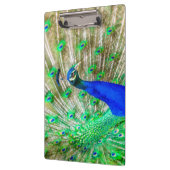 孔雀の羽毛 クリップボード (左)