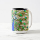 孔雀の羽毛 ツートーンマグカップ (正面右)