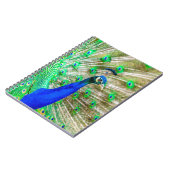 孔雀の羽毛 ノートブック (左側)