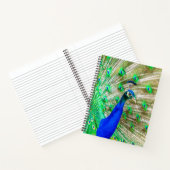 孔雀の羽毛 ノートブック (内部)