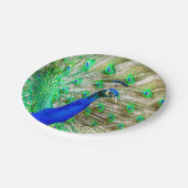孔雀の羽毛 ペーパープレート (アングル)
