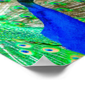 孔雀の羽毛 ポスター (角)