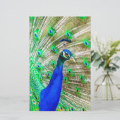 孔雀の羽毛 便箋 (スタンド正面)