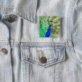 孔雀の羽毛 缶バッジ (インサイチュ)