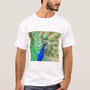 孔雀の羽毛 Tシャツ