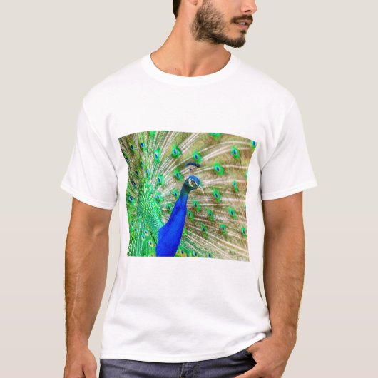 孔雀の羽毛 Tシャツ (正面)