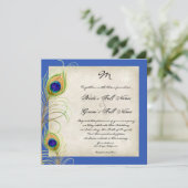 孔雀の羽王室の青の結婚式 招待状 (スタンド正面)