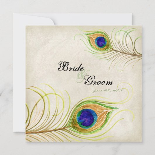 孔雀の羽王室の青の結婚式 招待状 (裏面)
