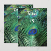 孔雀の羽結婚のテーブル番号 ポストカード (正面/裏面)